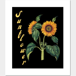 Sunflower Graphic Tees for Women Posters and Art